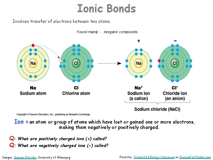 Ionic Bonds Involves transfer of electrons between two atoms. Found mainly … inorganic compounds.