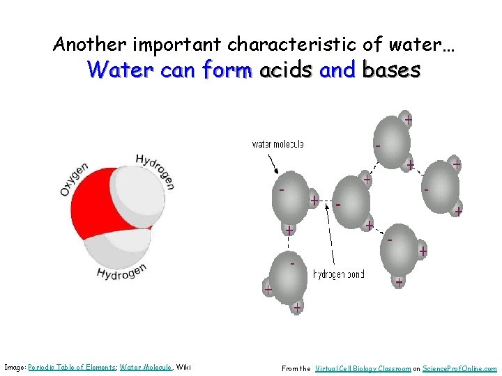 Another important characteristic of water… Water can form acids and bases Image: Periodic Table