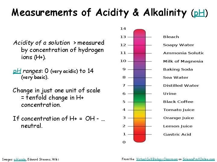 Measurements of Acidity & Alkalinity (p. H) Acidity of a solution > measured by