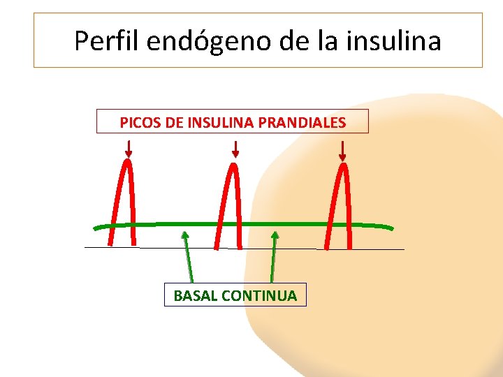 Perfil endógeno de la insulina PICOS DE INSULINA PRANDIALES BASAL CONTINUA 