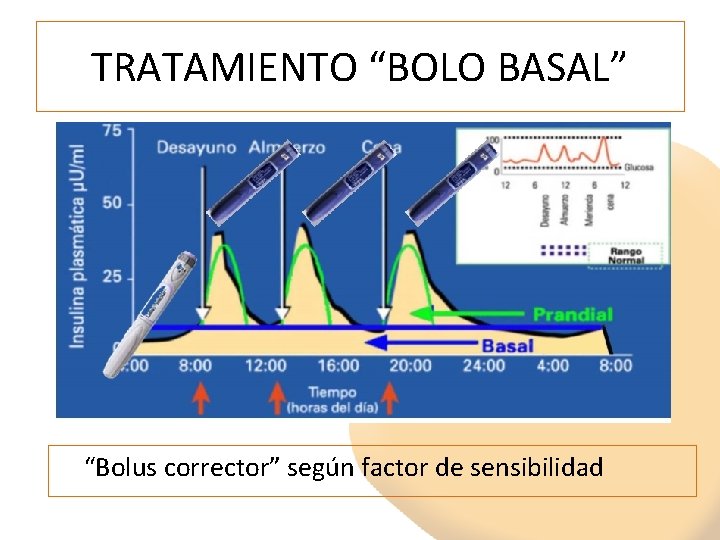 TRATAMIENTO “BOLO BASAL” “Bolus corrector” según factor de sensibilidad TRATAMIENTO “BOLO BASAL” “Bolus corrector” según factor de sensibilidad