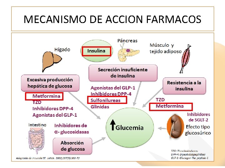 MECANISMO DE ACCION FARMACOS 