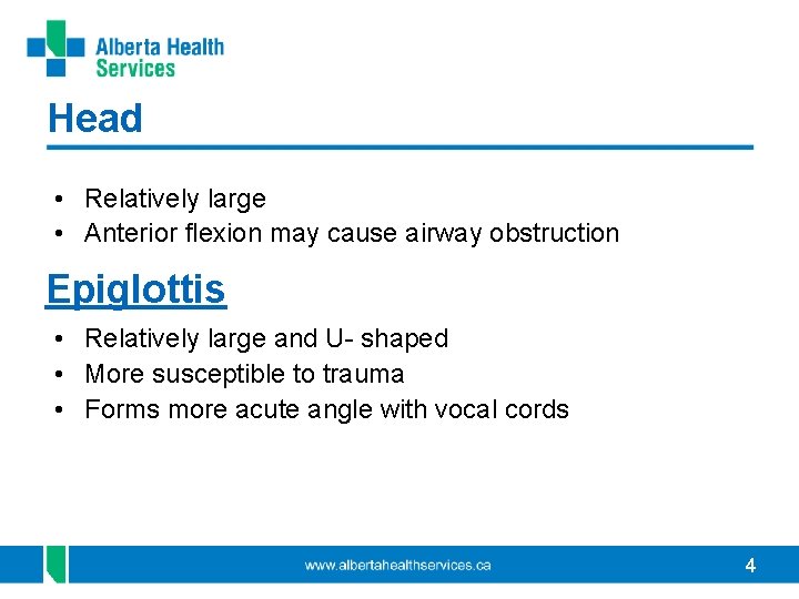 Head • Relatively large • Anterior flexion may cause airway obstruction Epiglottis • Relatively