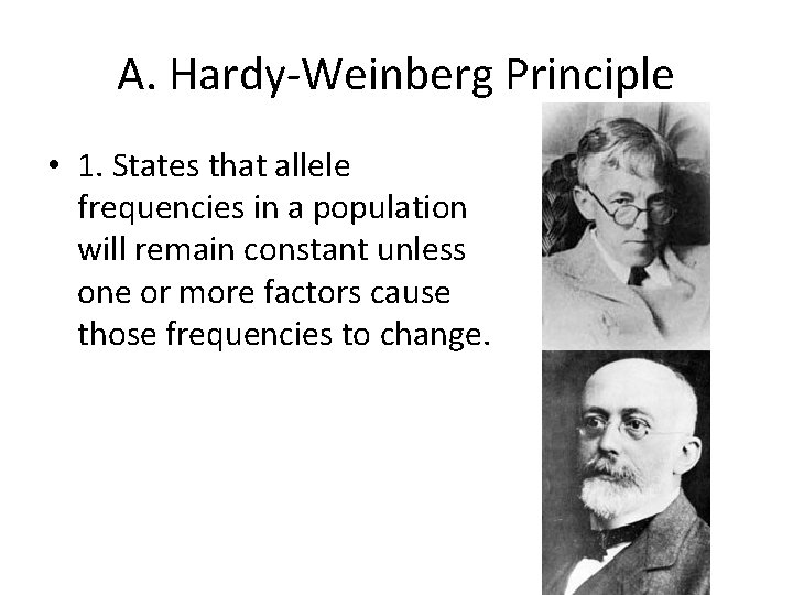 A. Hardy-Weinberg Principle • 1. States that allele frequencies in a population will remain