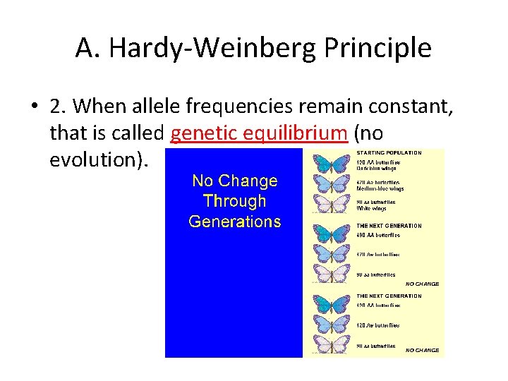 A. Hardy-Weinberg Principle • 2. When allele frequencies remain constant, that is called genetic