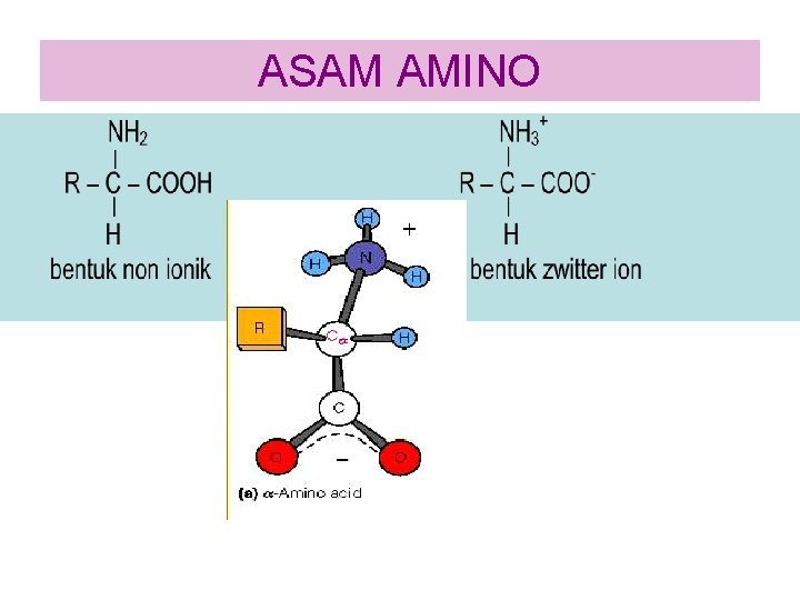 ASAM AMINO 