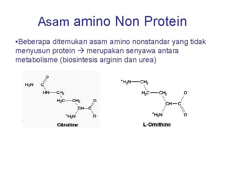 Asam amino Non Protein • Beberapa ditemukan asam amino nonstandar yang tidak menyusun protein