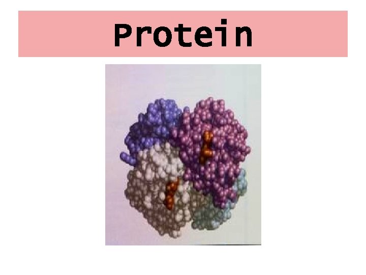 Protein 