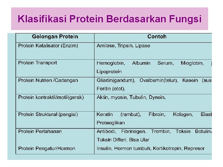 Klasifikasi Protein Berdasarkan Fungsi 