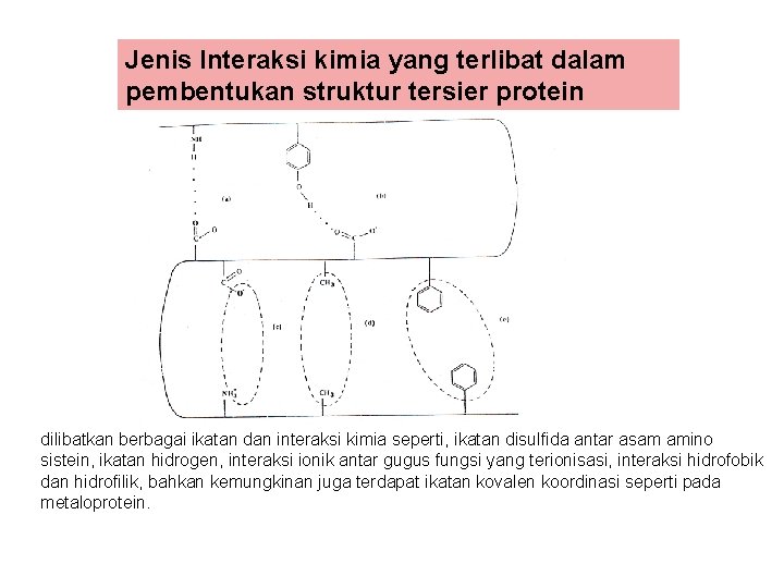 Jenis Interaksi kimia yang terlibat dalam pembentukan struktur tersier protein dilibatkan berbagai ikatan dan