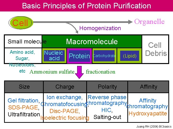 Basic Principles of Protein Purification Cell Small molecule Homogenization Macromolecule Amino acid, Nucleic Protein