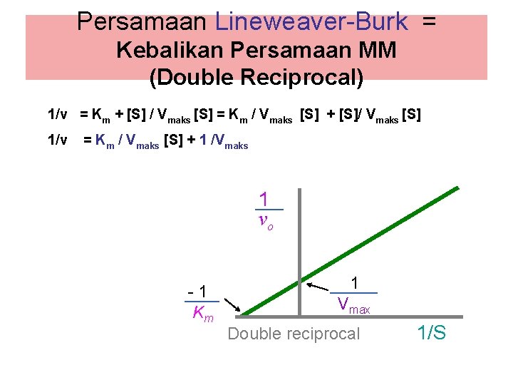 Persamaan Lineweaver-Burk = Kebalikan Persamaan MM (Double Reciprocal) 1/v = Km + [S] /