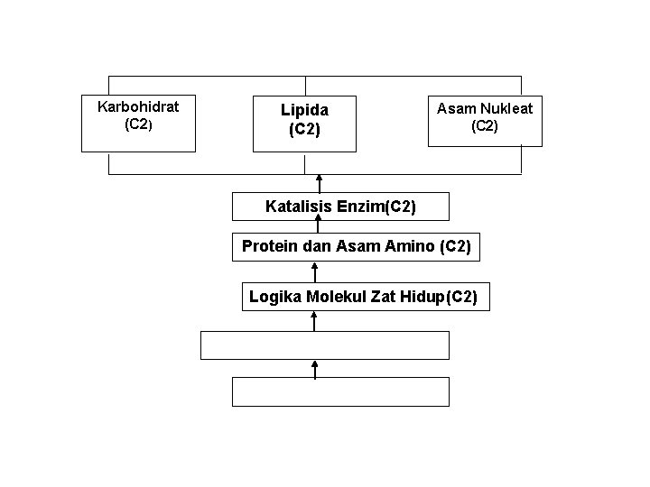  Karbohidrat (C 2) Lipida (C 2) Asam Nukleat (C 2) Katalisis Enzim(C 2)