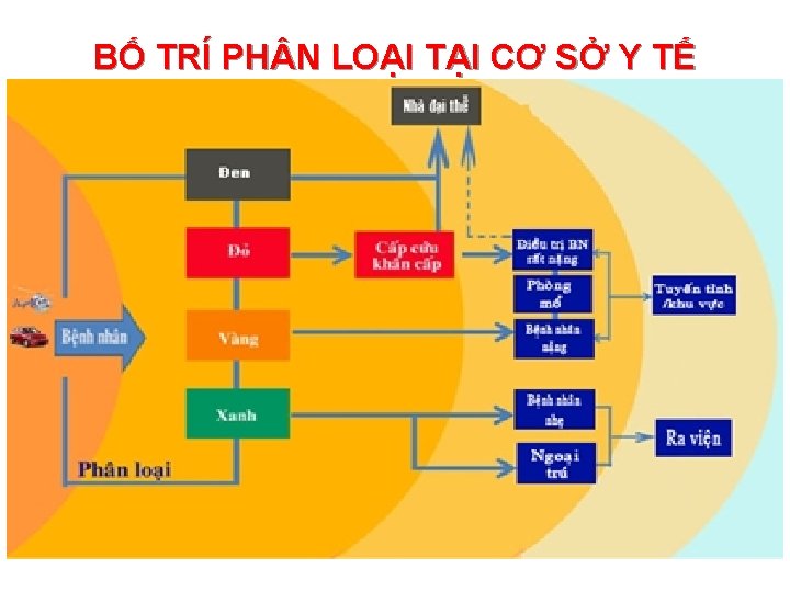 BỐ TRÍ PH N LOẠI TẠI CƠ SỞ Y TẾ 10/27/2020 39 