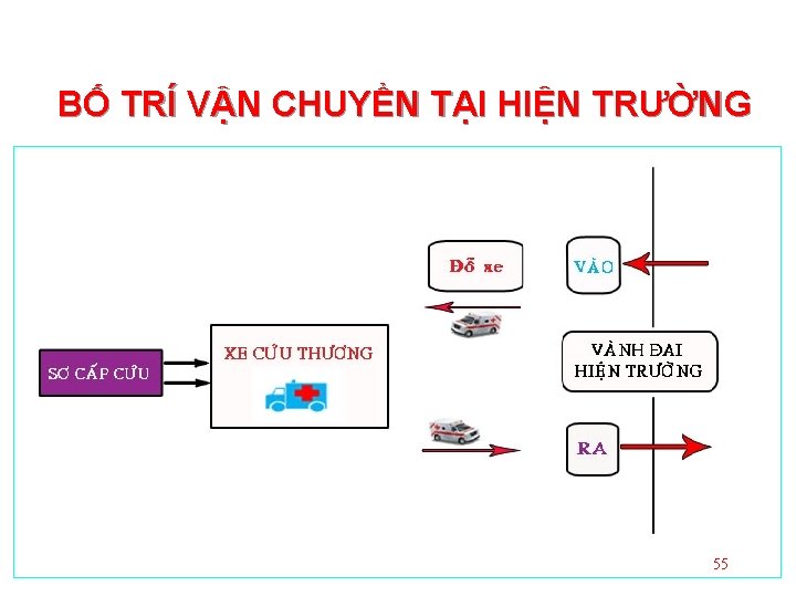 BỐ TRÍ VẬN CHUYỂN TẠI HIỆN TRƯỜNG 10/27/2020 55 