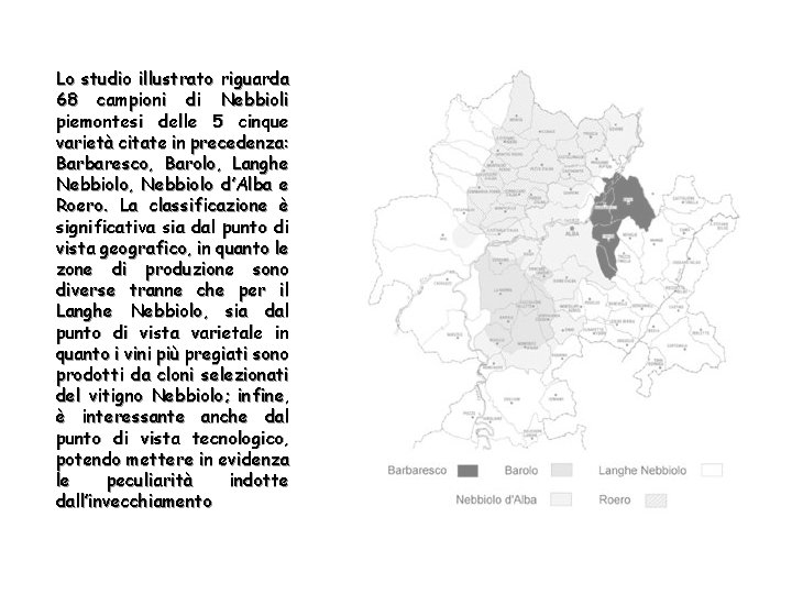 Lo studio illustrato riguarda 68 campioni di Nebbioli piemontesi delle 5 cinque varietà citate