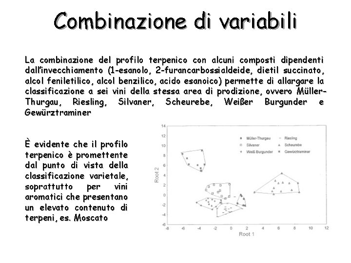 Combinazione di variabili La combinazione del profilo terpenico con alcuni composti dipendenti dall’invecchiamento (1