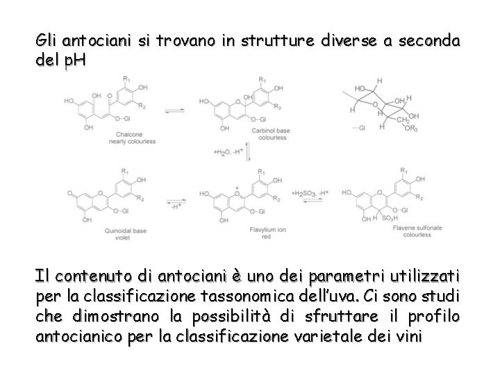 Gli antociani si trovano in strutture diverse a seconda del p. H Il contenuto