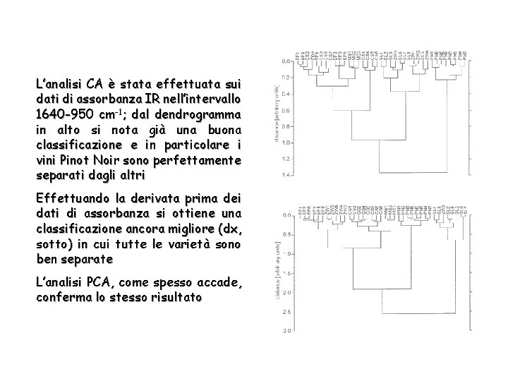 L’analisi CA è stata effettuata sui dati di assorbanza IR nell’intervallo 1640 -950 cm-1;