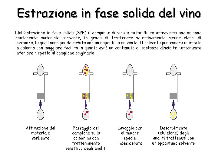 Estrazione in fase solida del vino Nell’estrazione in fase solida (SPE) il campione di