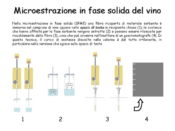 Microestrazione in fase solida del vino Nella microestrazione in fase solida (SPME) una fibra