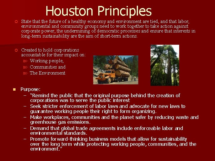 Houston Principles State that the future of a healthy economy and environment are tied,