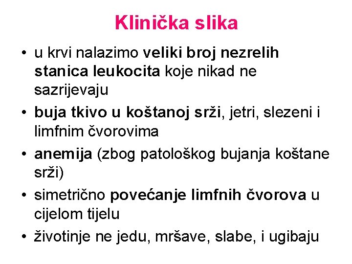 Klinička slika • u krvi nalazimo veliki broj nezrelih stanica leukocita koje nikad ne