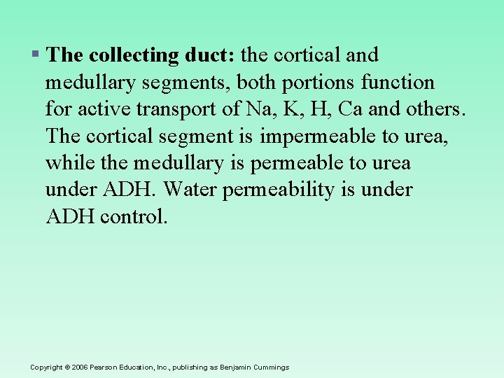 § The collecting duct: the cortical and medullary segments, both portions function for active