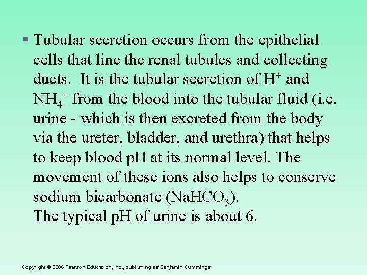 § Tubular secretion occurs from the epithelial cells that line the renal tubules and