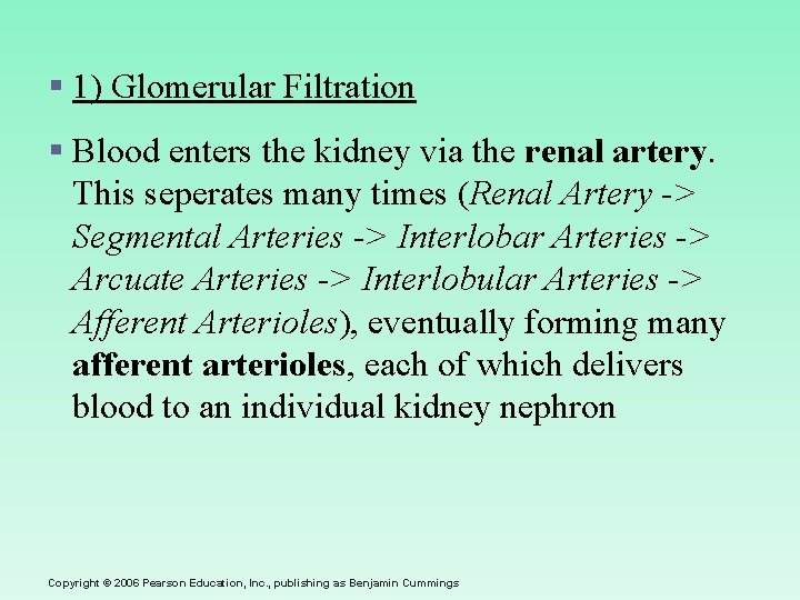 § 1) Glomerular Filtration § Blood enters the kidney via the renal artery. This