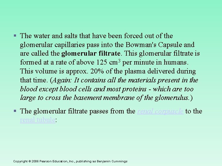 § The water and salts that have been forced out of the glomerular capillaries