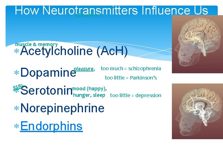 How Neurotransmitters Influence Us Alzheimer’s muscle & memory Acetylcholine (Ac. H) Dopamine too little