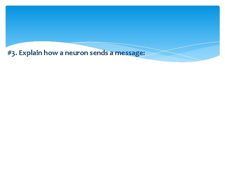 #3. Explain how a neuron sends a message: 