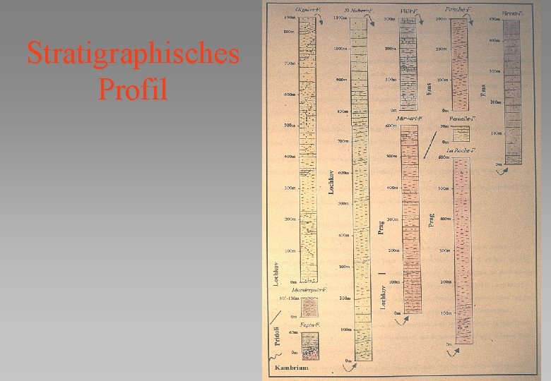 Stratigraphisches Profil 