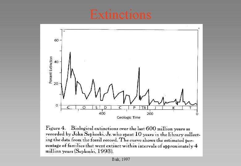 Extinctions Bak, 1997 