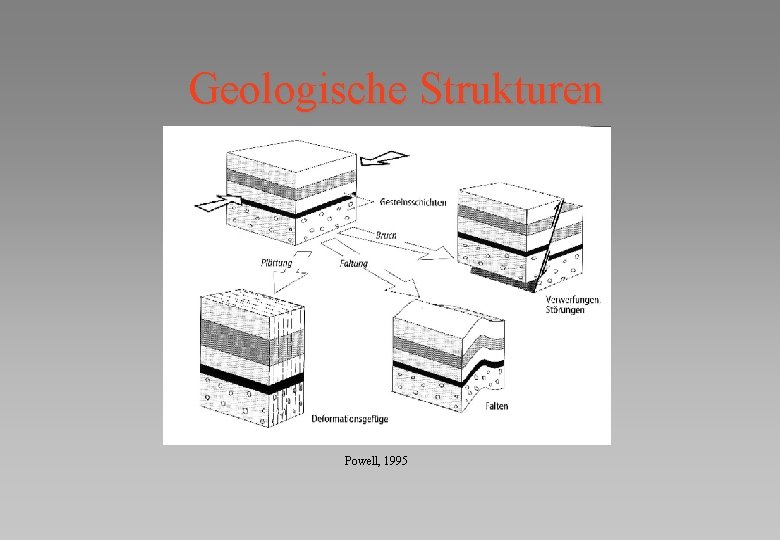 Geologische Strukturen Powell, 1995 