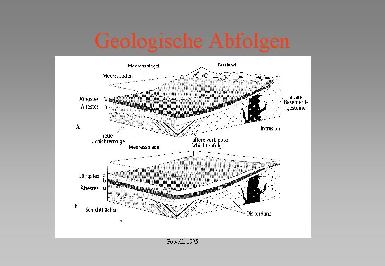 Geologische Abfolgen Powell, 1995 