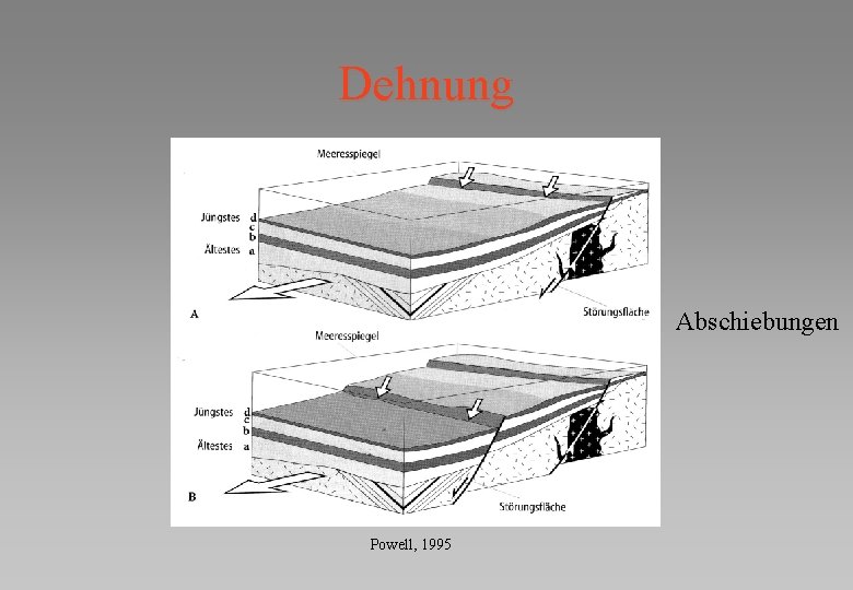 Dehnung Abschiebungen Powell, 1995 