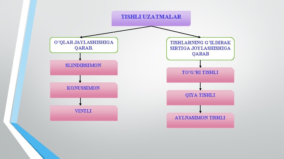 TISHLI UZATMALAR O’QLAR JAYLASHISHIGA QARAB. TISHLARNING G’ILDIRAK SIRTIGA JOYLASHISHIGA QARAB SLINDIRSIMON TO’G’RI TISHLI KONUSSIMON