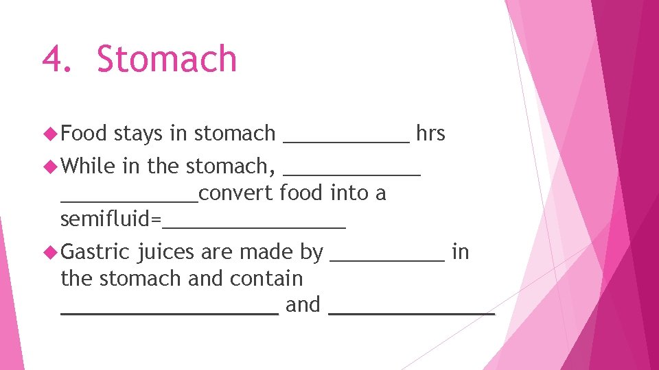 4. Stomach Food stays in stomach ______ hrs While in the stomach, ____________convert food