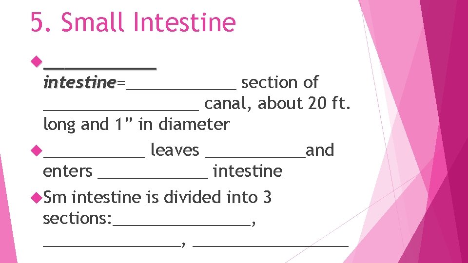 5. Small Intestine ______ intestine=______ section of intestine _________ canal, about 20 ft. long