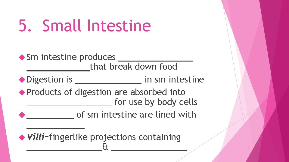 5. Small Intestine Sm intestine produces _______that break down food ______ Digestion is _______