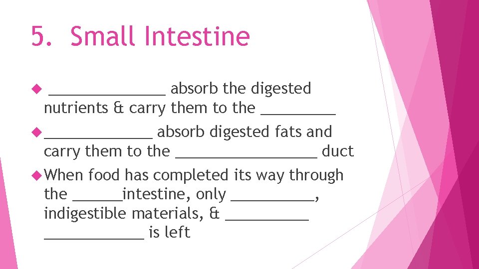 5. Small Intestine _______ absorb the digested nutrients & carry them to the _______