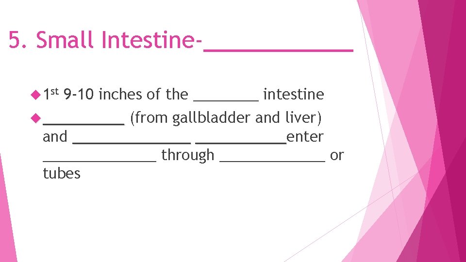 5. Small Intestine-______ 1 st 9 -10 inches of the ____ intestine _____ (from