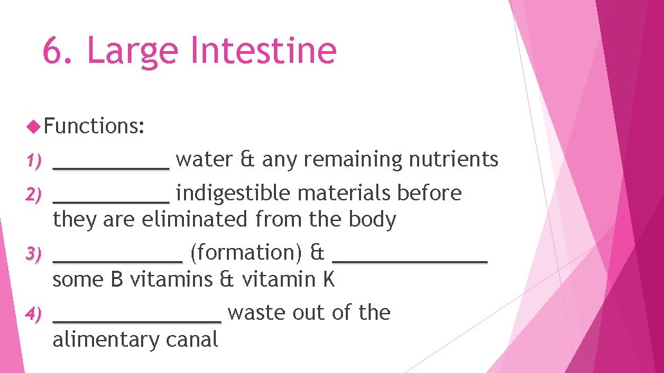 6. Large Intestine Functions: _____ water & any remaining nutrients 2) _____ indigestible materials