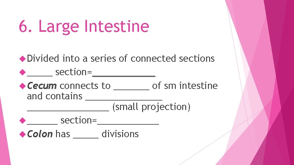 6. Large Intestine Divided into a series of connected sections _____ section=______ Cecum connects