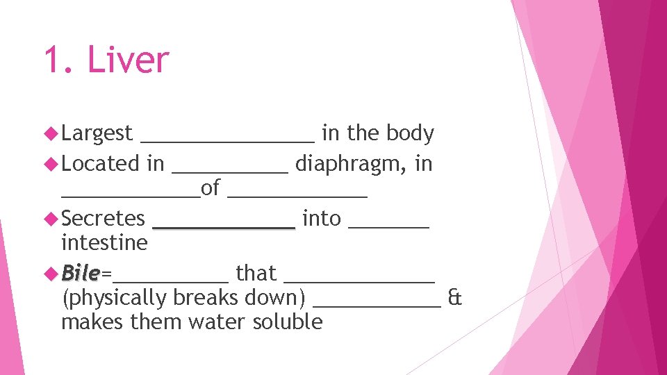 1. Liver Largest ________ in the body Located in _____ diaphragm, in ______of ______