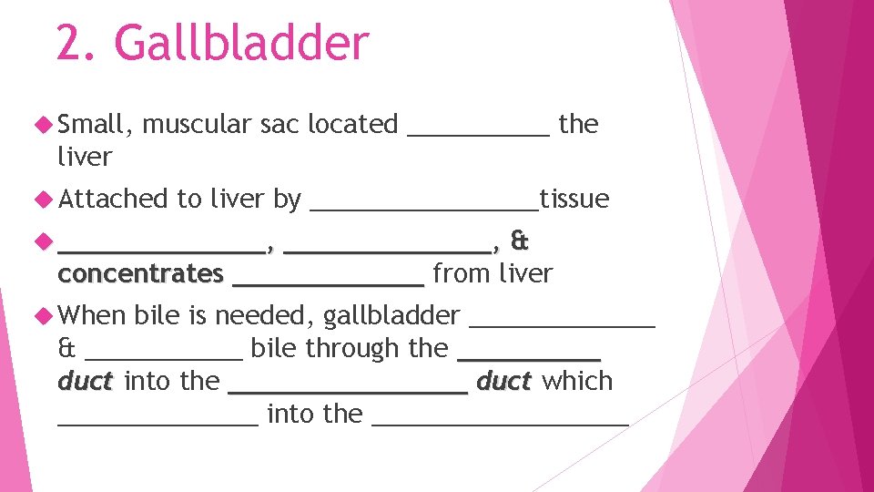 2. Gallbladder Small, muscular sac located _____ the liver Attached to liver by ________tissue