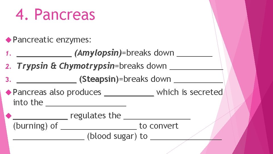 4. Pancreas Pancreatic enzymes: ______ (Amylopsin)=breaks down ____ Amylopsin) 2. Trypsin & Chymotrypsin=breaks down