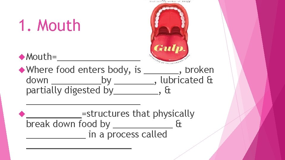 1. Mouth=_________ Where food enters body, is _______, broken down _____by ____, lubricated &